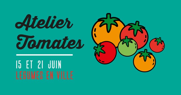 Atelier tomates