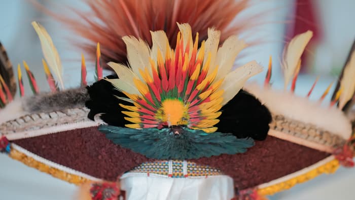 Mundiya Kepanga rencontre les enfants : activité autour de l'art des plumes