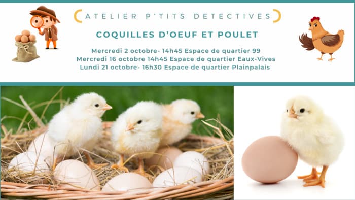 Atelier p'tits détectives Coquilles d’oeuf et poulet