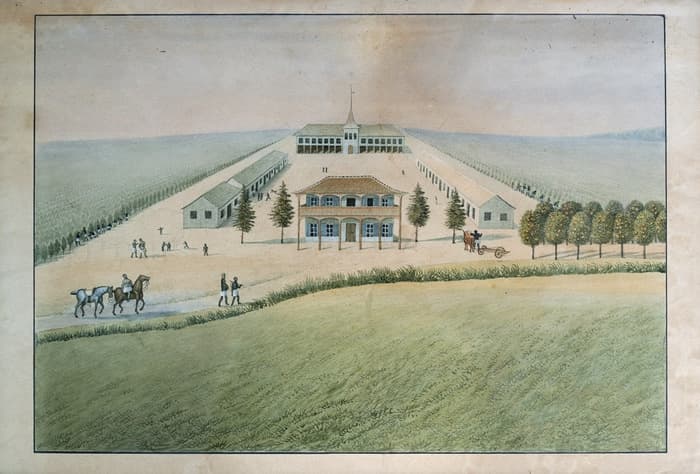 Visite commentée «Helvécia. Une histoire coloniale oubliée»
