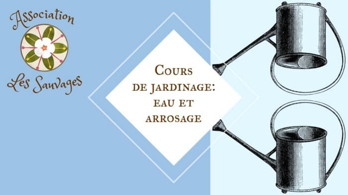 Cours de jardinage: la gestion de l'eau
