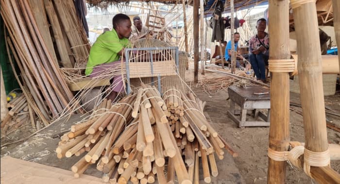 ETHNOBOTANIQUE ET DÉVELOPPEMENT DURABLE, L’EXEMPLE DES PALMIERS D’AFRIQUE DE L’OUEST, PAR DIDIER ROGUET