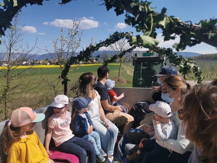 Balade vigneronne en remorque à vendangeurs et dégustation de vins à Soral