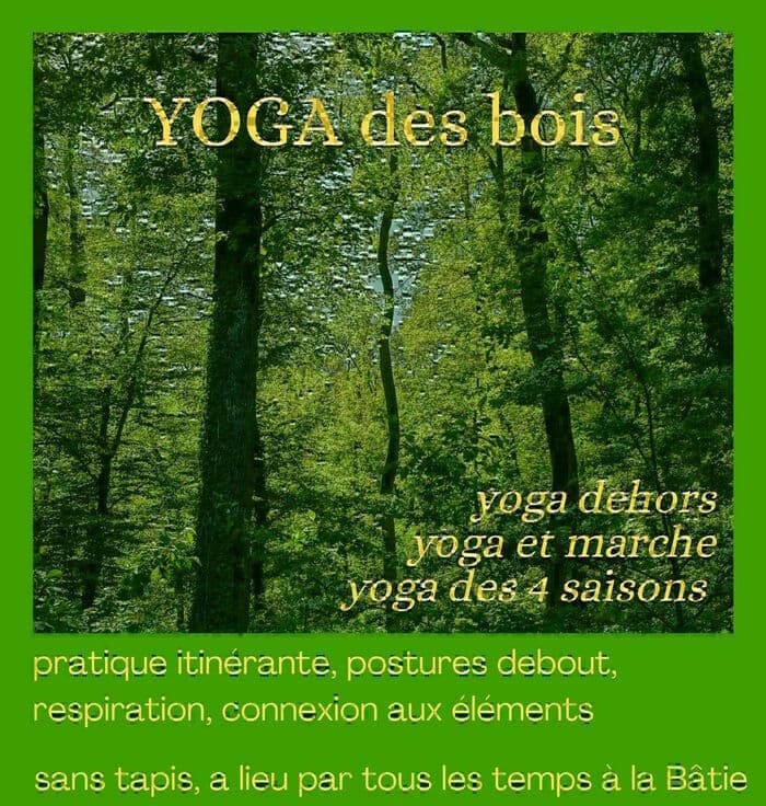 Yoga des bois