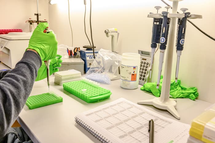 Le laboratoire de botanique moléculaire