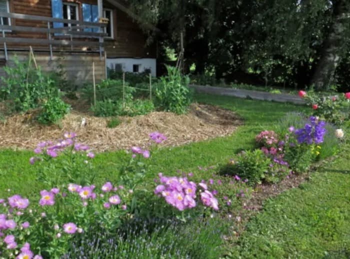 Week-end d'introduction à la permaculture