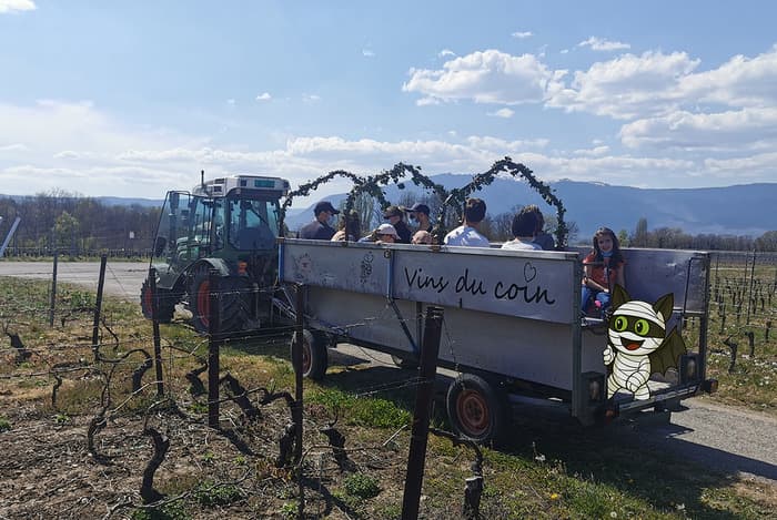 HALLOMANIA - Chasse aux bonbons en tracteur, atelier et dégustation de vins à Soral