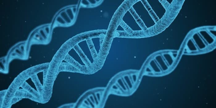 Séminaires scientifiques
