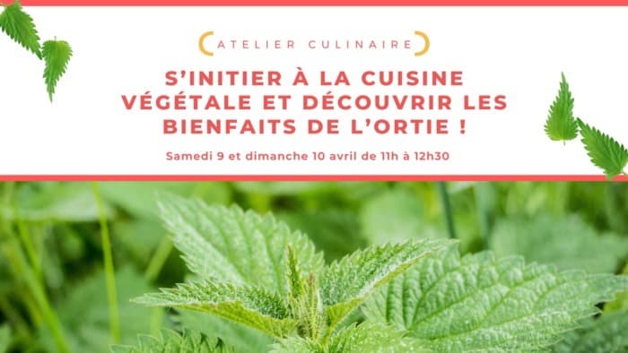 La cuisine végétale saine et savoureuse pour petits et grands !