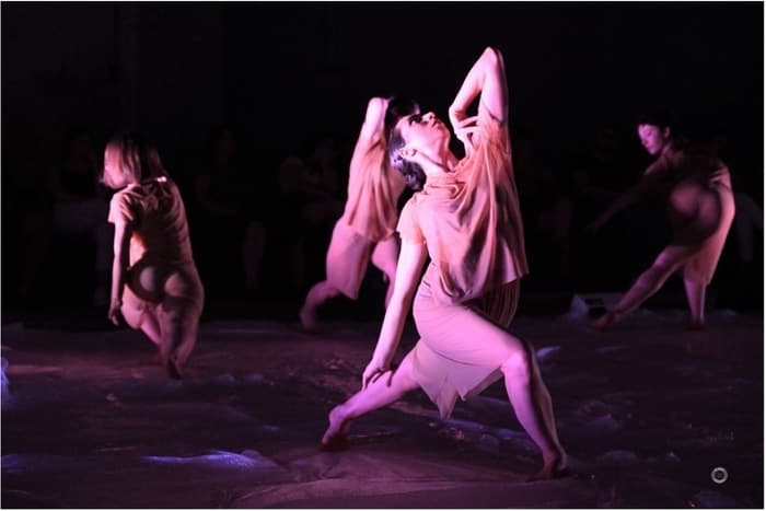 Countess – Spectacle de danse