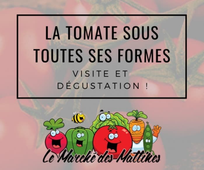 Visite du Domaine des Mattines: la tomate sous toutes ses formes