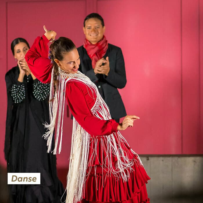 INITIATION AU FLAMENCO