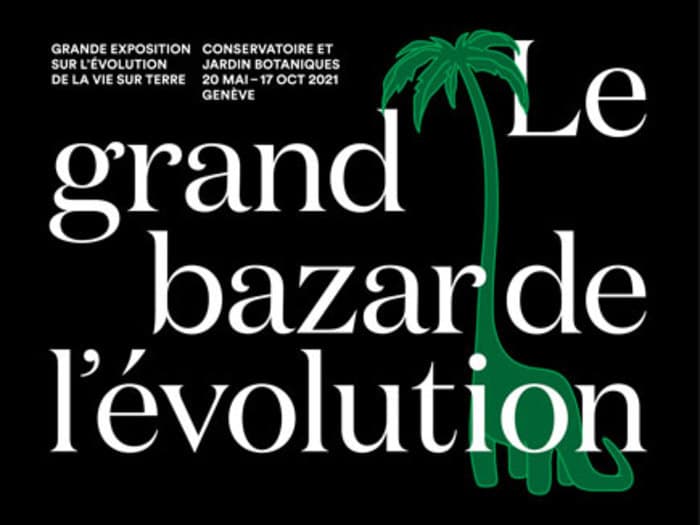 Le grand bazar de l'évolution