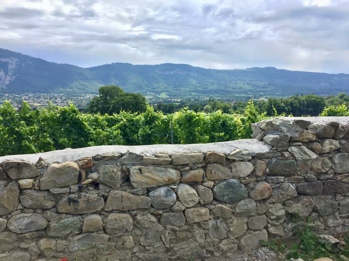 Visite guidée de Plan-les-Ouates : Curiosités d'Arare