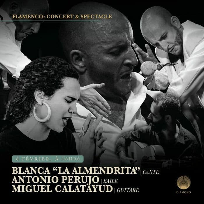 Concert & Spectacle de Flamenco le 8 février à 18h00