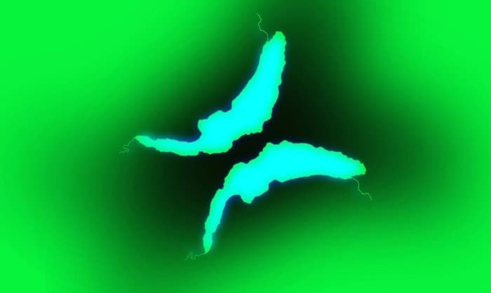 LEMANIANA, reflets d'autres scènes