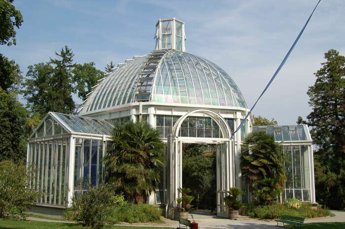 Draw'n'Drink au Jardin botanique