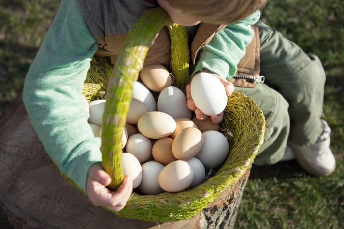 FESTIVAL PAKATRAP – Chasse aux oeufs, atelier créatif et dégustation de vins à Dardagny