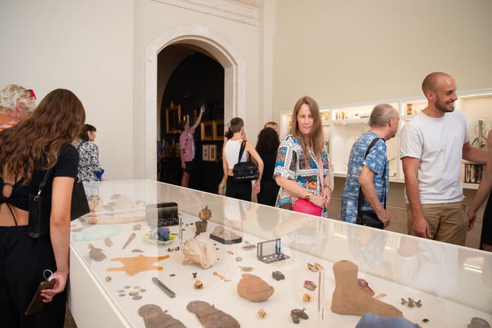 Cabinet de curiosités: Monnaies et coquillages