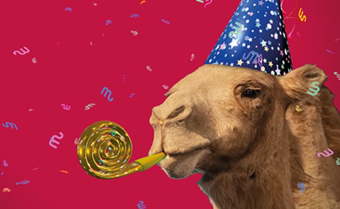 Soirée bestiale ! Fête de fermeture du Muséum d’histoire naturelle