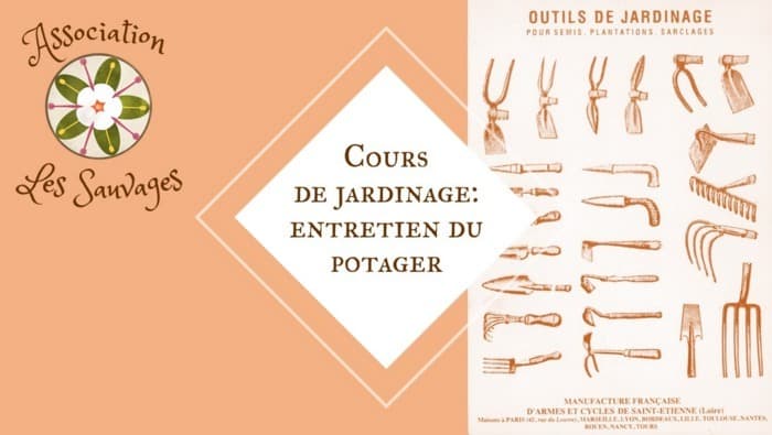 Cours de jardinage: l'entretien du potager