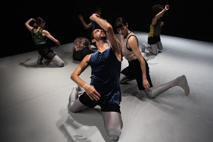FESTIVAL ANTIGEL : CocoonDance - Hybridity