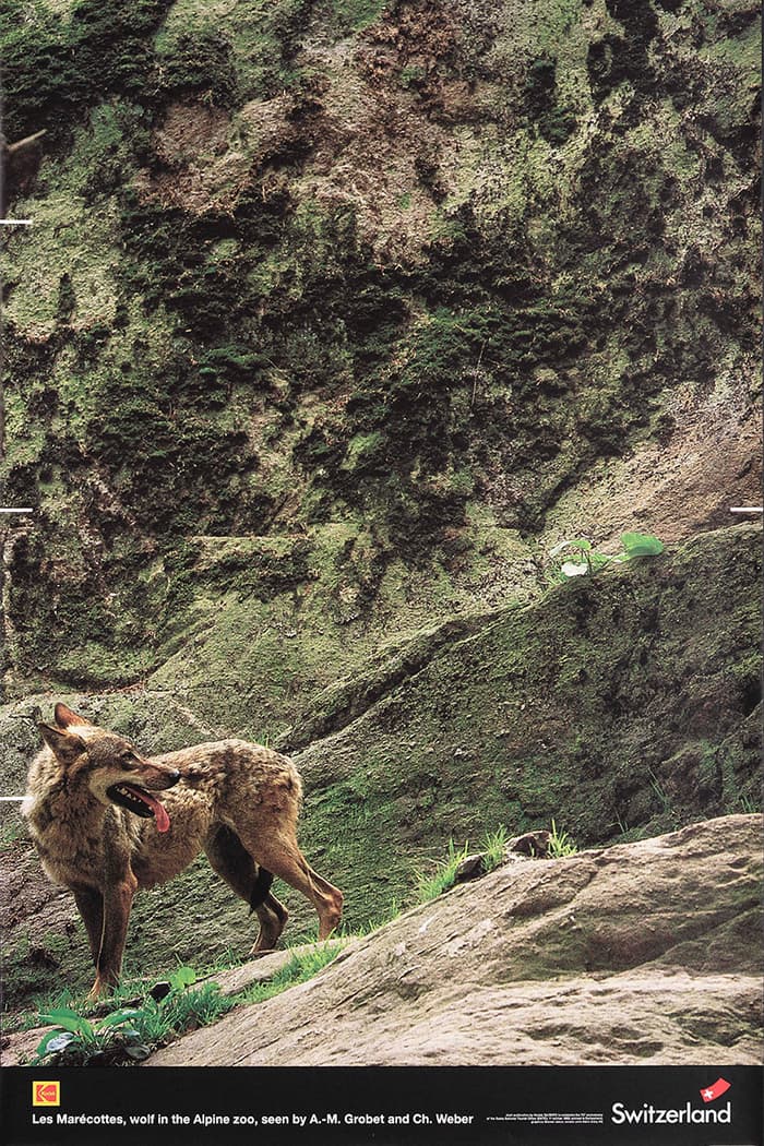 Entre le loup et l’agneau: l’animal dans l’affiche suisse