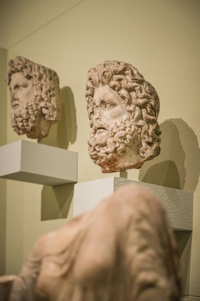 La tête sur les épaules