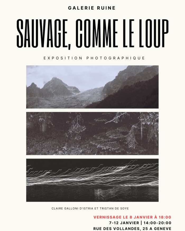 Exposition photographique Sauvage, comme le loup