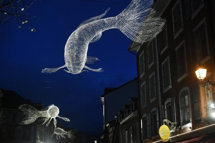 Visite guidée - Illuminations Carouge magique