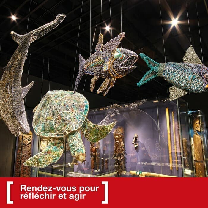Ghost Nets : Atelier d'observation et création artistique.
