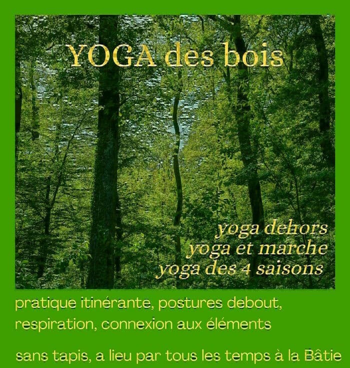 Yoga des bois