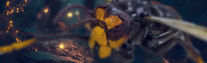 Espèces exotiques envahissantes