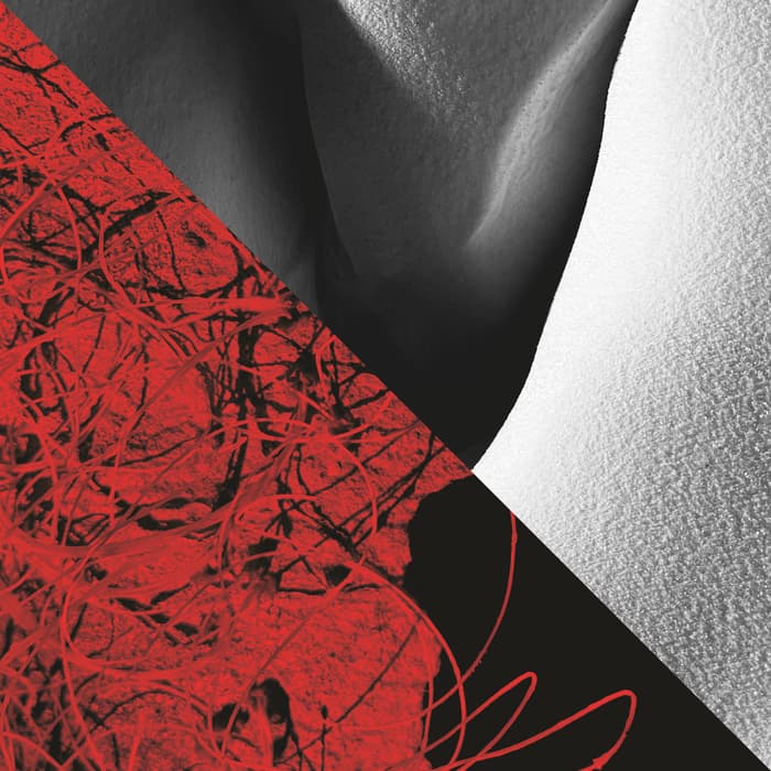 Exposition d'Alexandra Winterberg & Olav Nietzer
