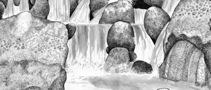 Le monde de l'illustration (dès 7 ans)