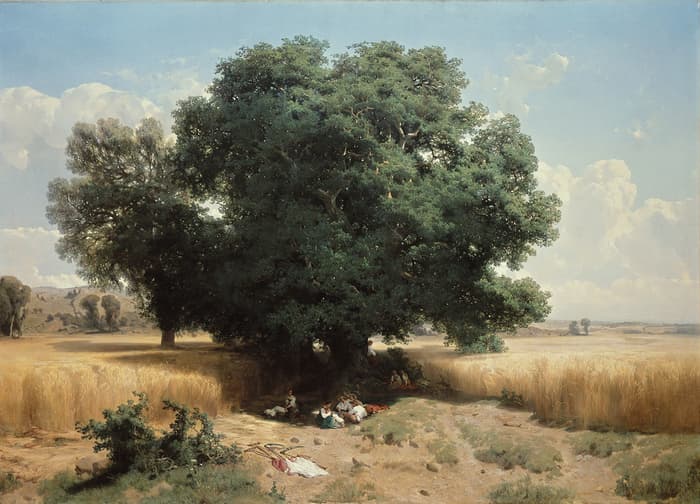 Parfums d'été