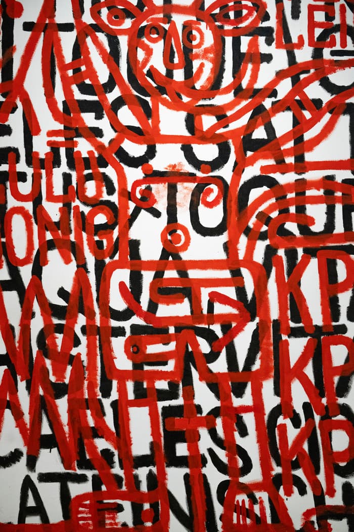 Visite guidée de l'exposition "Voir l'invisible" par sa commissaire Lucienne Peiry