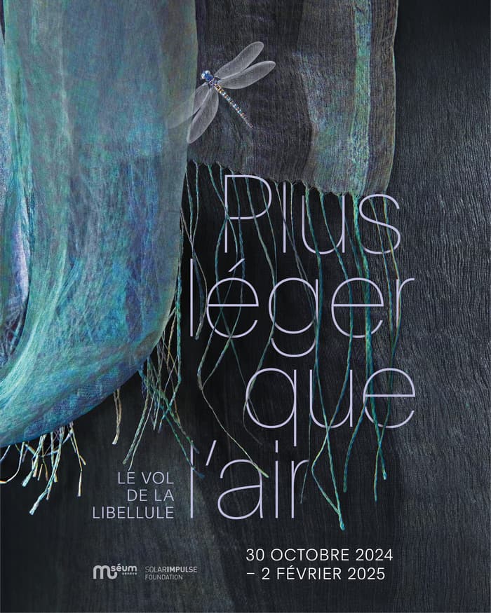 Plus léger que l'air - le vol de la libellule