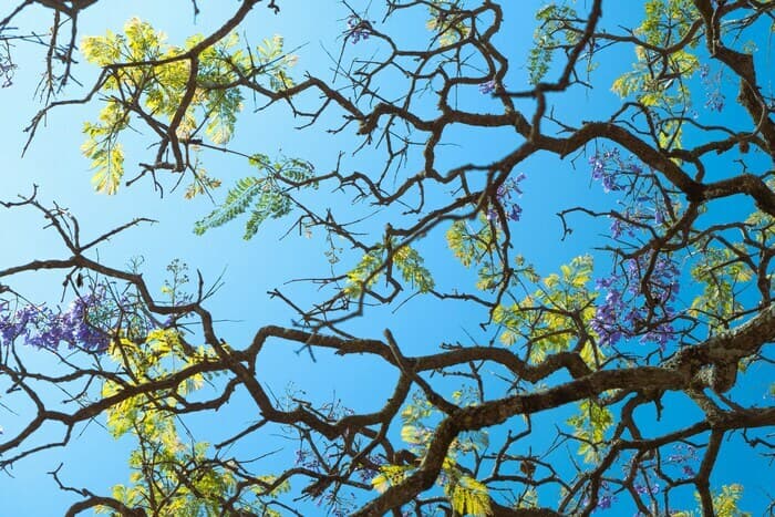 Mini ateliers de sensibilisation sur la biodiversité et l' alimentation durable / Mission Genève durable