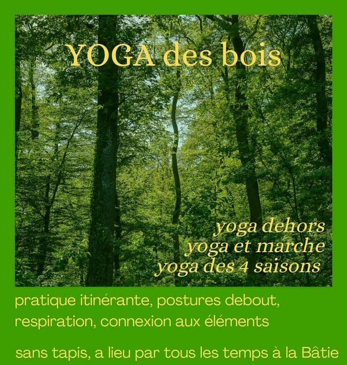 Yoga des bois