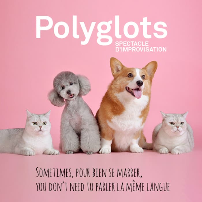 Polyglots - Spectacle d'improvisation