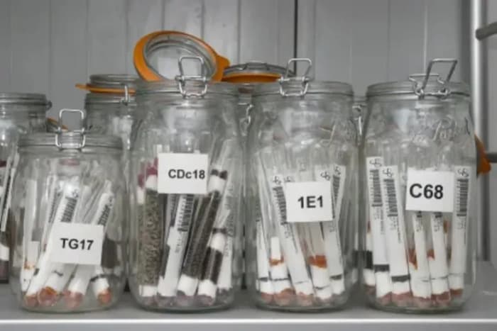 Un trésor congelé au service de la sécurité alimentaire