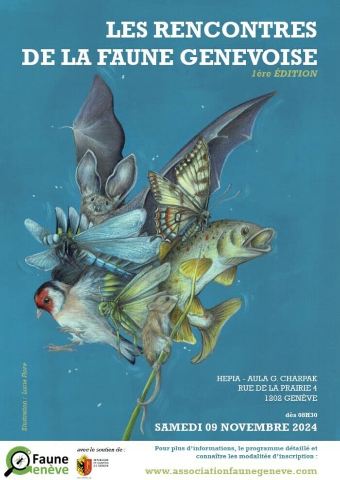 Les rencontres de la faune genevoise