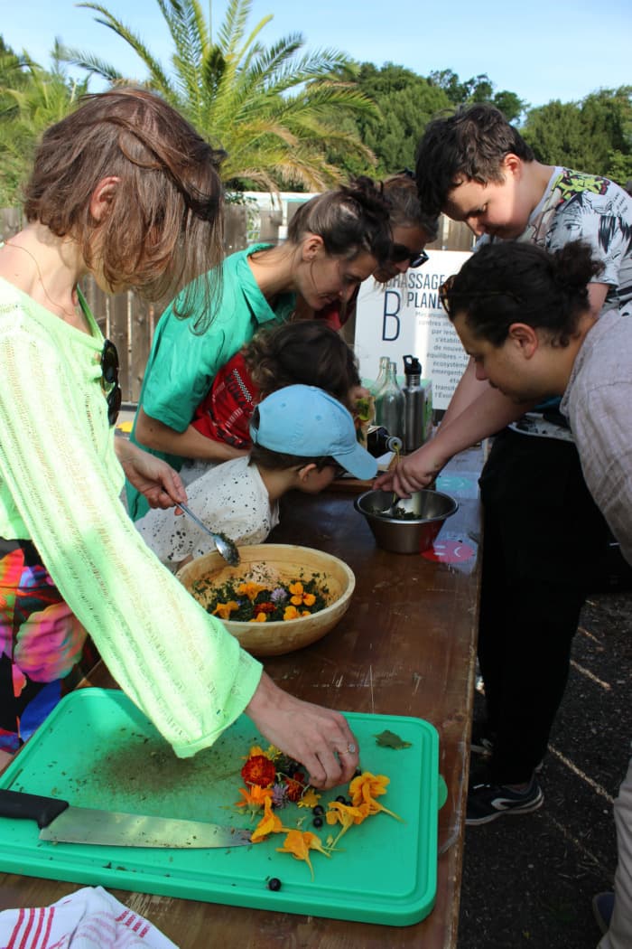 Libellule et Potager
