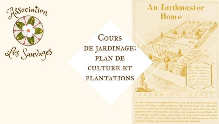 Cours de jardinage: le plan de culture et les plantations