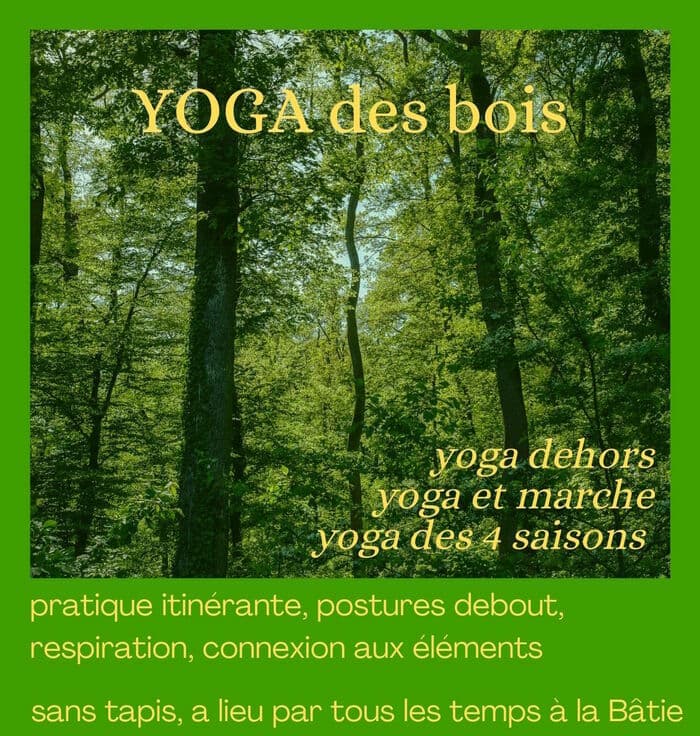 Yoga des bois