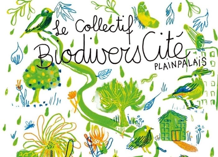 Balade Avifaune - À la découverte de nos voisins les oiseaux