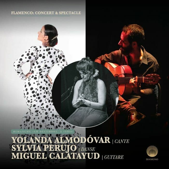 Soirée Flamenco: Concert & Spectacle le 1er décembre à 18h00