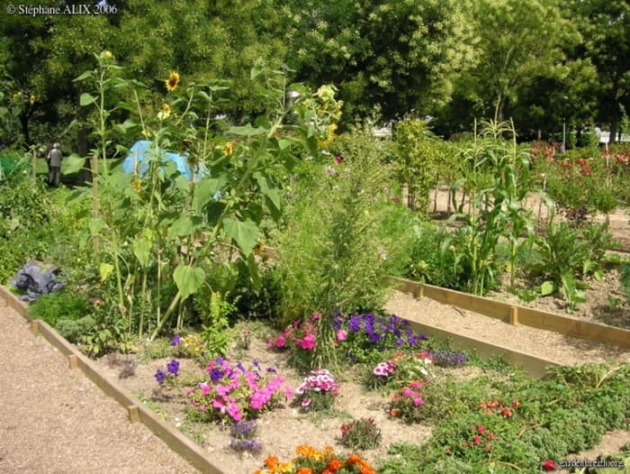 Contes et slams, de jardins en potagers