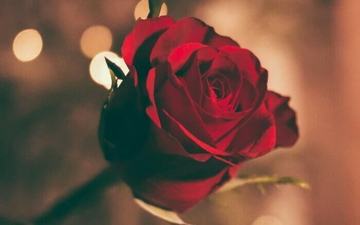 Bal de la St-Valentin